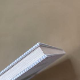 三峡700MW水轮发电机组安装技术