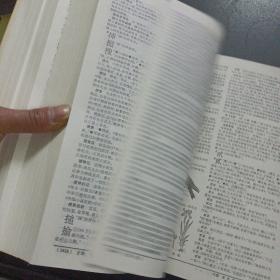 辞海 上中，2册合售,3.9kg——s3