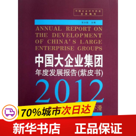 中国大企业集团年度发展报告 (紫皮书)? 2012 