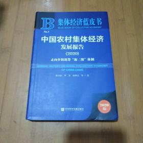 集体经济蓝皮书：中国农村集体经济发展报告2020