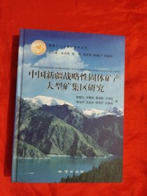 中国新疆战略性固体矿产大型矿集区研究 【16开，硬精装】