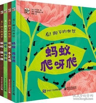 看！脚下的世界（全4册） 9787121390647 [英]苏西·威廉姆斯,[英]汉娜·托尔森 电子工业出版社