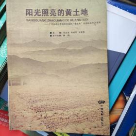 阳光照亮的黄土地:广河县非公有制经济组织“党建杯”全国征文作品选辑