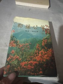 鄂豫公学校史回忆录