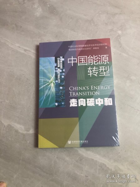 中国能源转型：走向碳中和