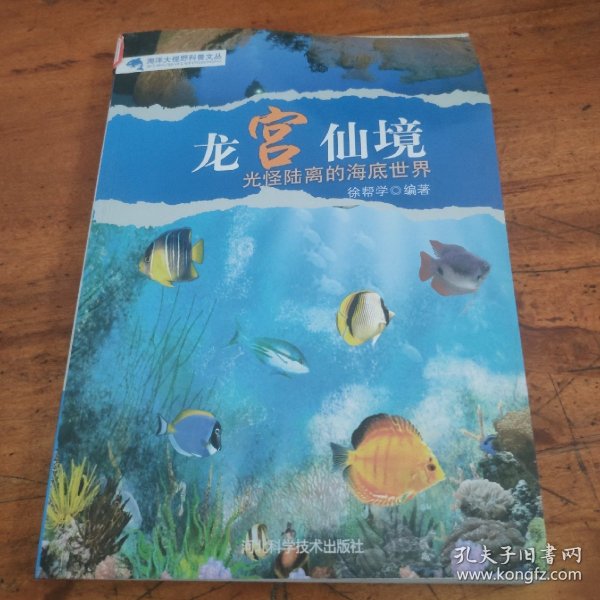 龙宫仙境 : 光怪陆离的海底世界