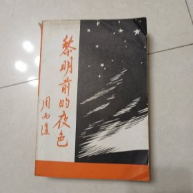 黎明前的夜色