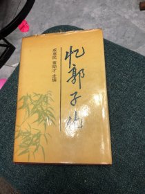 《忆郭子化》（精装本，多幅历史照片，记录了抗战老战士，鲁南起义领导人，原卫生部副部长郭子化的战斗生涯）