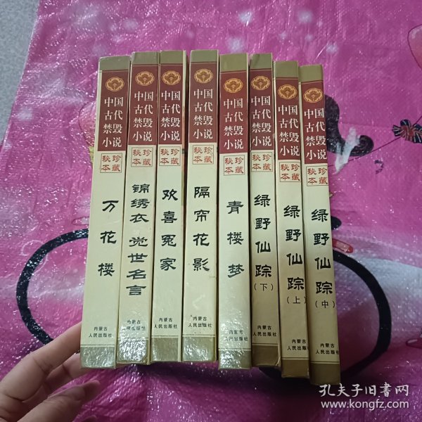 中国古代禁毁小说.第一辑·下.梼杌闲评.珍藏秘本