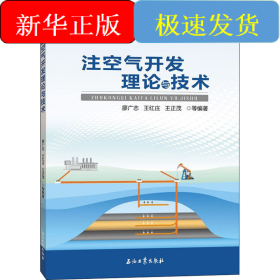 注空氣開發(fā)理論與技術(shù)