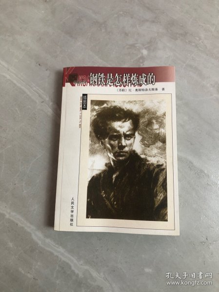 名著名译插图本：钢铁是怎样炼成的