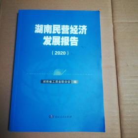 湖南民营经济发展报告（2020）