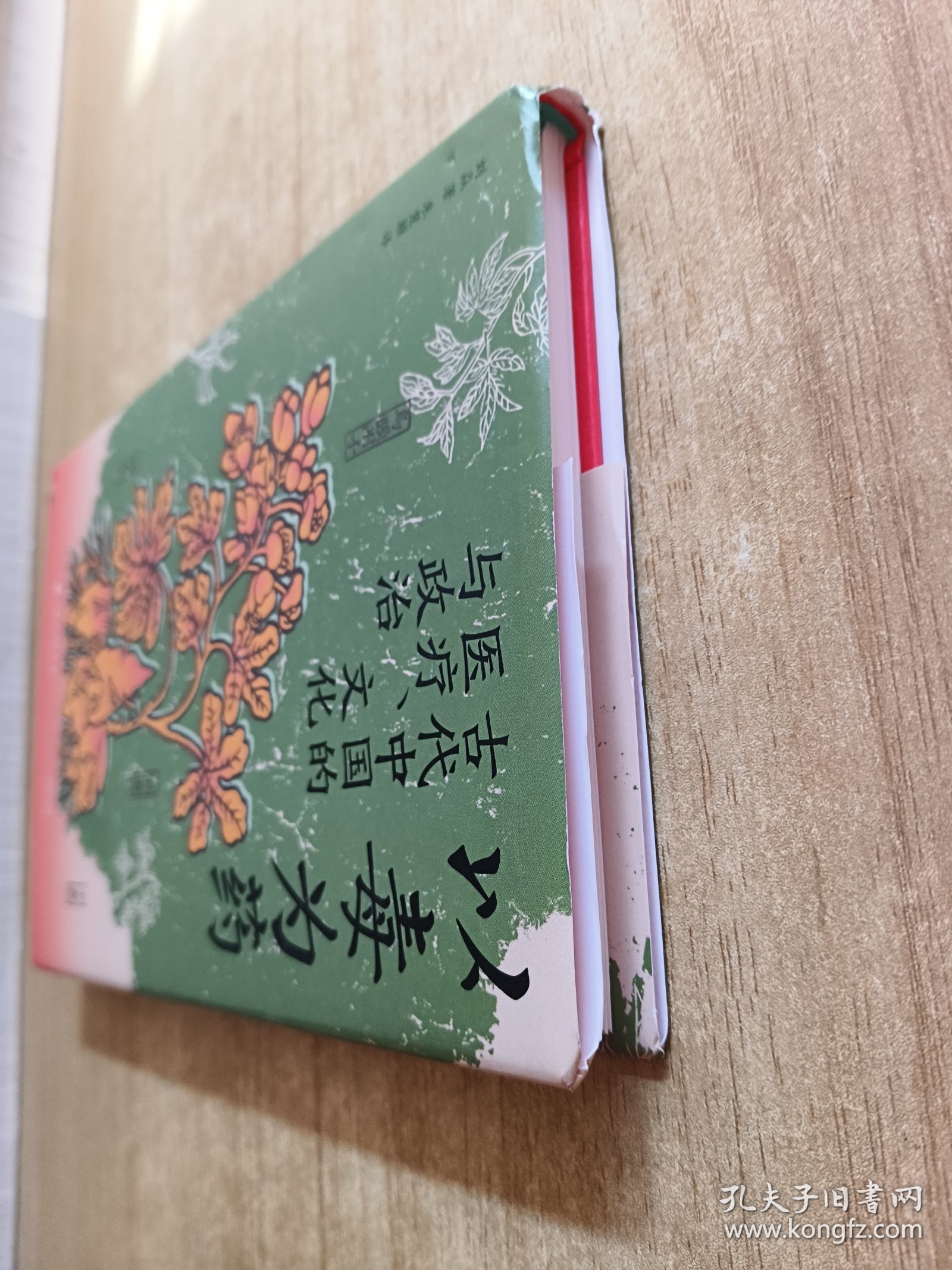 以毒为药:古代中国的医疗、文化与政治