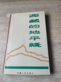 西藏的地平线【近九品】