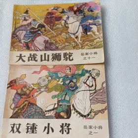 双锤小将，大战山狮驼