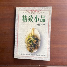 精致小品抒情哲学