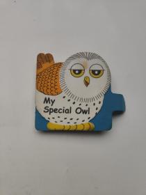 原版绘本 my special owl 异形书