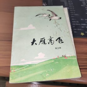 大雁高飞 书皮有污渍破损