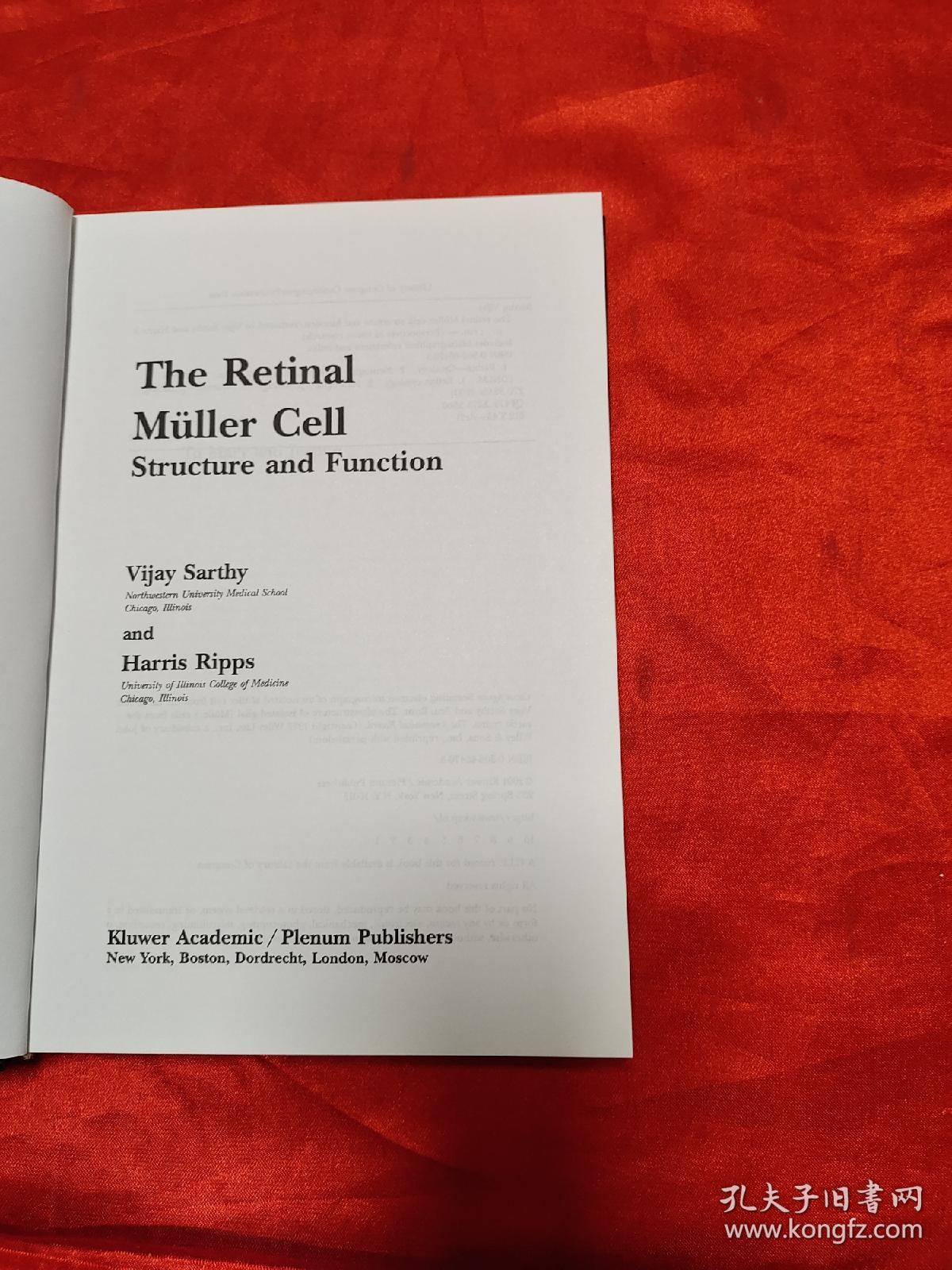 The Retinal Muller Cell: Structure and Function       （ 小16开，硬精装）  【详见图】