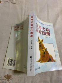 实用犬病诊疗图册