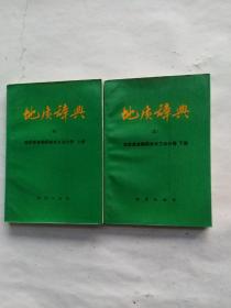 地质辞典（五）地质普查勘探技术方法分册 上下。