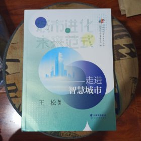 城化未来范式: 走进智慧城市