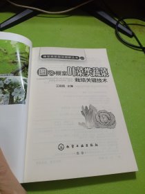 棚室蔬菜栽培图解丛书 图说棚室叶菜类蔬菜栽培关键技术 如图现货速发