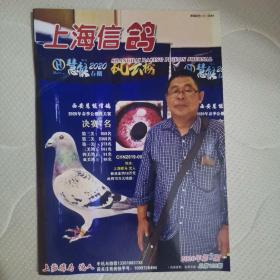 上海信鸽杂志2020-3