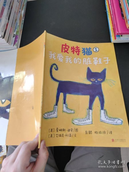 皮特猫