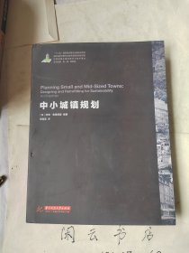 世界城镇化理论与技术译丛--中小城镇规划