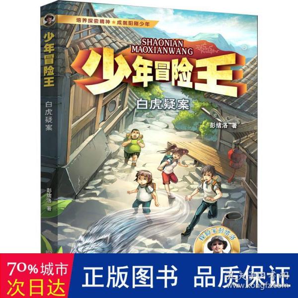 少年冒险王 升级版 第四季·探案篇（套装共4册）