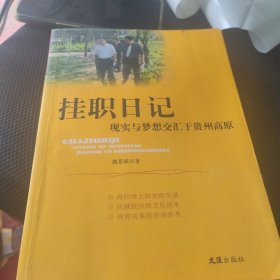 挂职日记：现实与梦想交汇于贵州高原