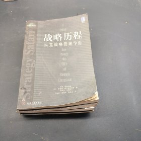 战略历程：纵览战略管理学派