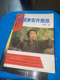 大成拳实作绝技