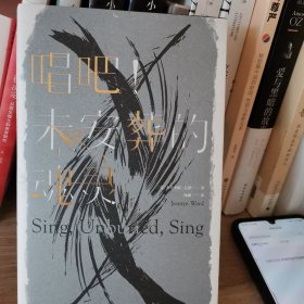 唱吧！未安葬的魂灵（杰丝米妮·瓦德作品）