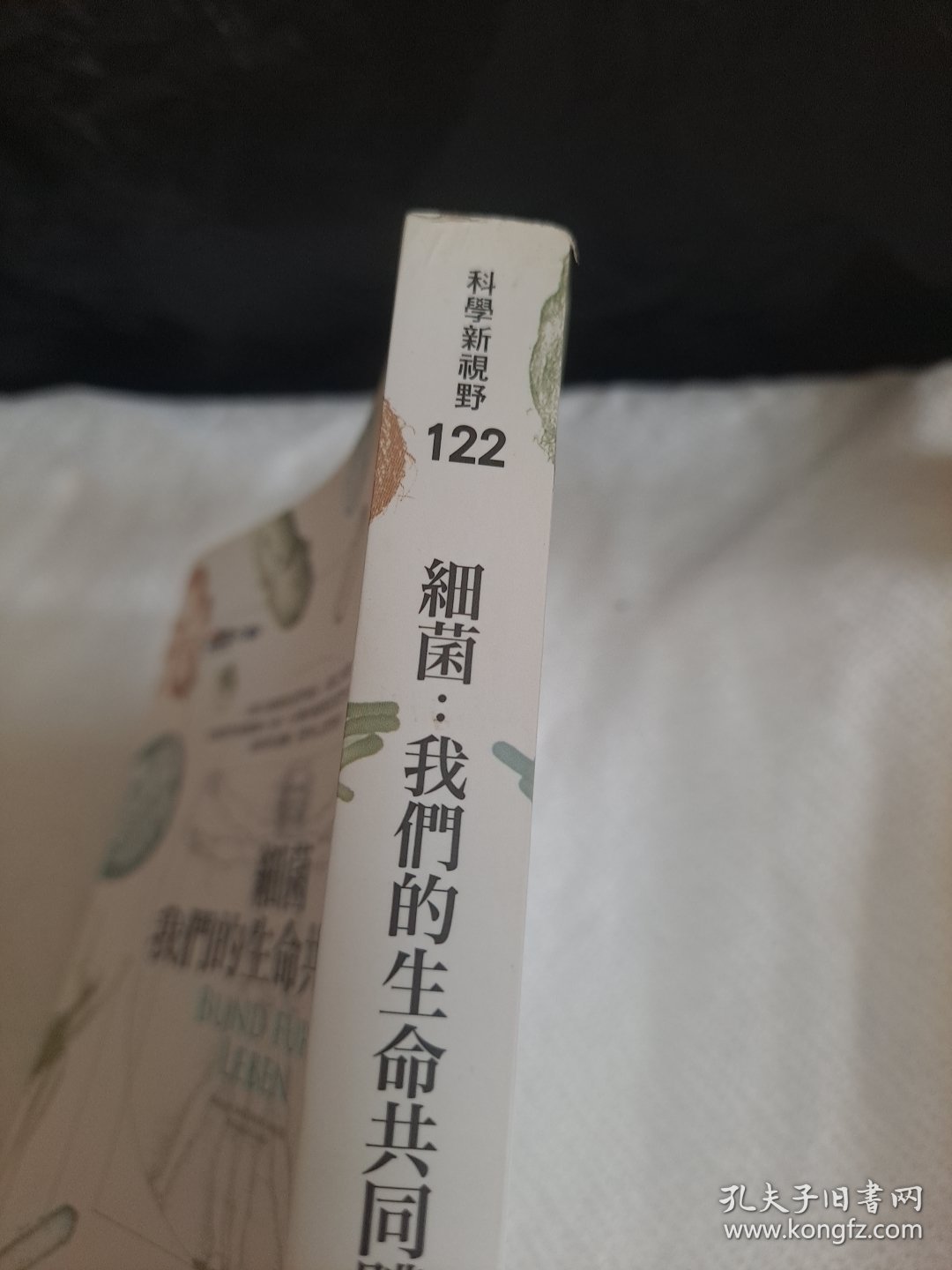 细菌 我们的生命共同体