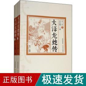 大泽龙蛇传(2册) 武侠小说 宫白羽 新华正版