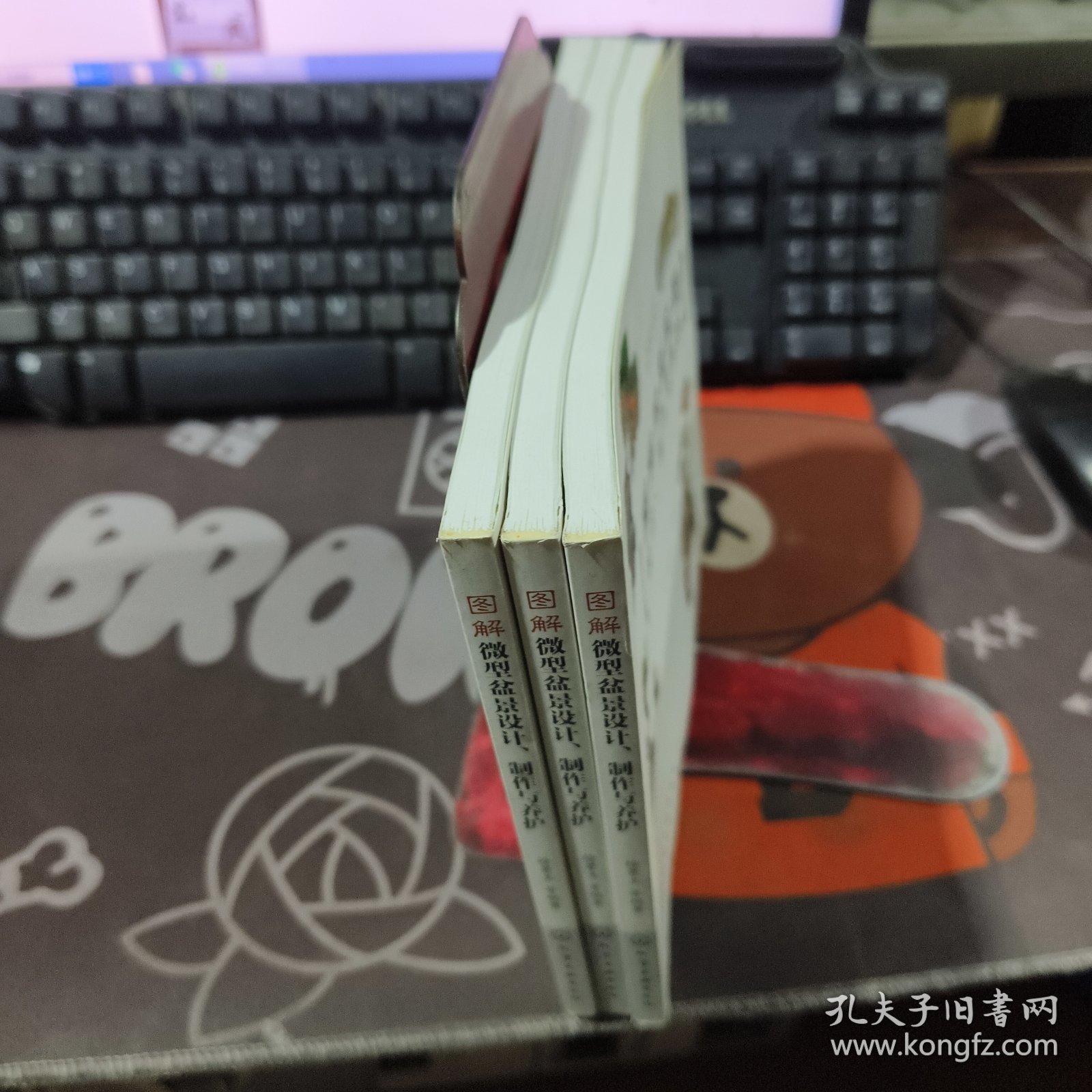 图解微型盆景设计、制作与养护（一版一印）