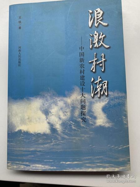 浪激村潮:中国新农村建设十大问题探究