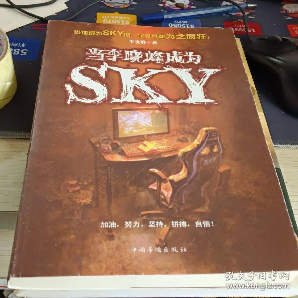 当李晓峰成为SKY