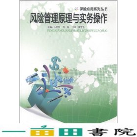 风险管理原理与实务操作马丽华中南大学出9787548710387