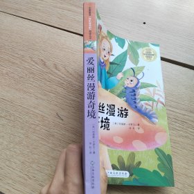 爱丽丝漫游奇境/小学语文快乐读书吧阅读丛书