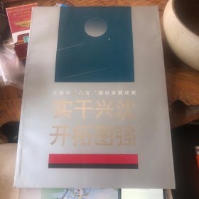 沈阳市八五建设发展成：实干兴沈、开拓图强（画册）
