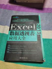 Excel 2013数据透视表应用大全