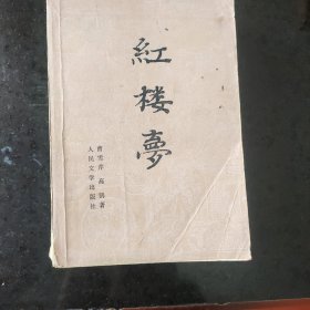 红楼梦上册