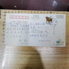 实寄明信片：中国邮政贺年（有奖）明信片、1997年“牛”片、未改值实寄