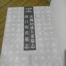 稀见古石刻丛刊：北魏赵盛夫妻墓志 唐吕府君墓志