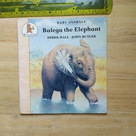 Balega the Elephant