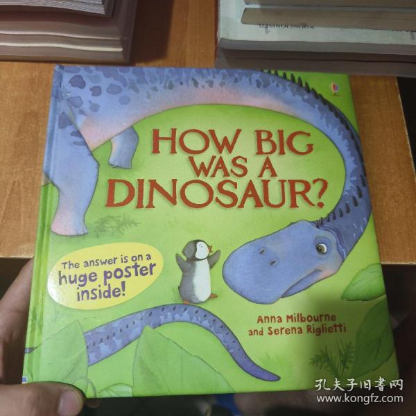 how big was a dinosaur