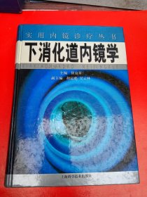 实用内镜诊疗丛书：下消化道内镜学（精）